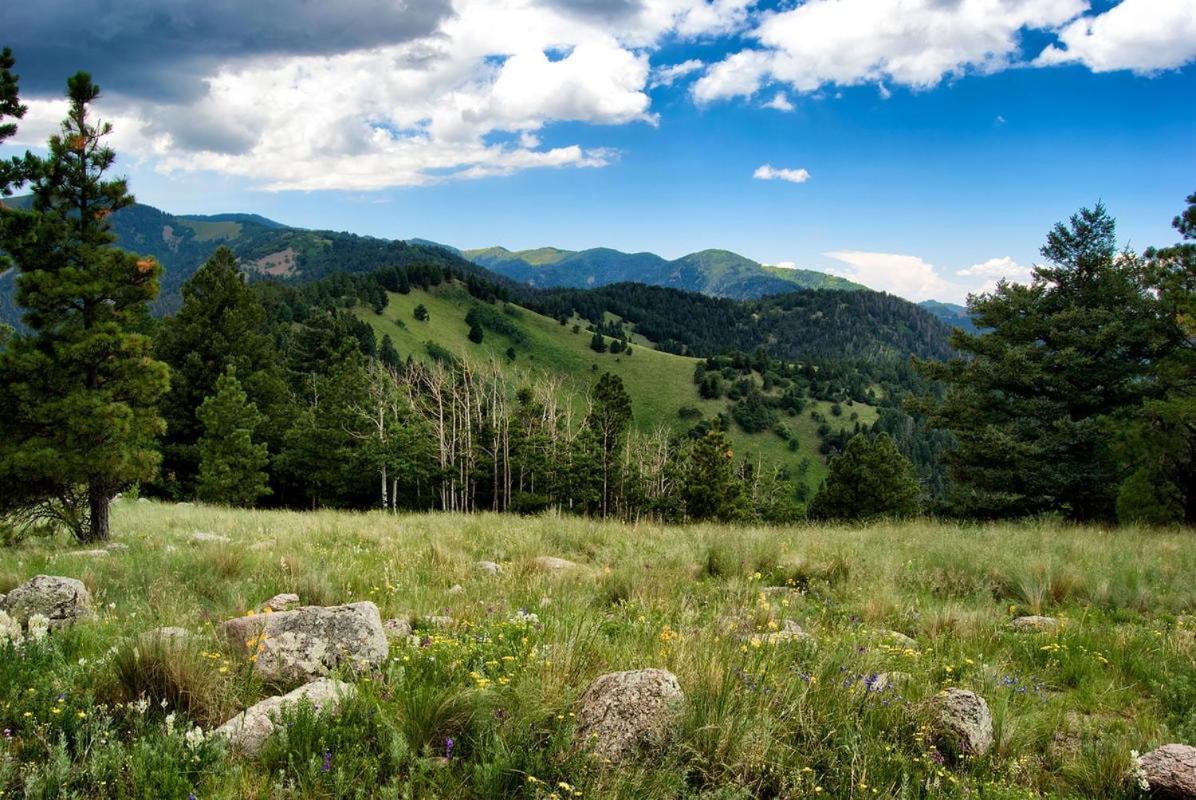 Perfect Cabin, 2 Bedrooms, Fireplace, Midtown, Sleeps 5 Ruidoso Exteriör bild