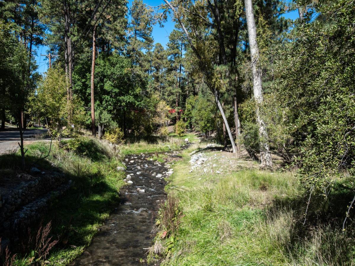 Perfect Cabin, 2 Bedrooms, Fireplace, Midtown, Sleeps 5 Ruidoso Exteriör bild
